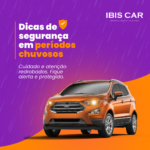 Ibis Car - Feed (17)